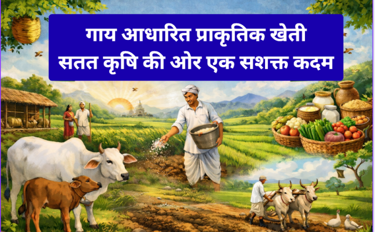  गाय आधारित प्राकृतिक खेती: सतत कृषि की ओर एक सशक्त कदम